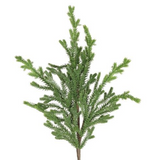 Cedar Pick - 24