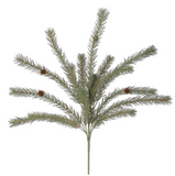 Pine Bush with Pinecones - 25
