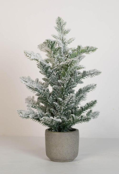 Flocked Pine Tree in Ceramic Pot
