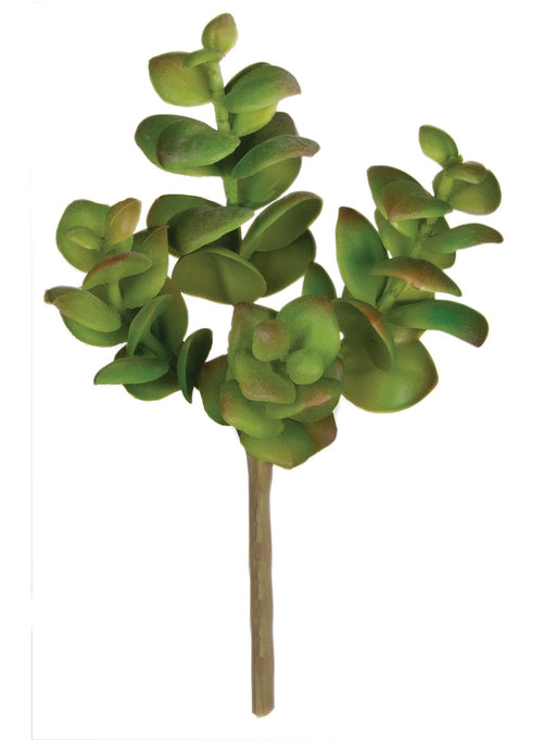 5.5" Succulent Pick