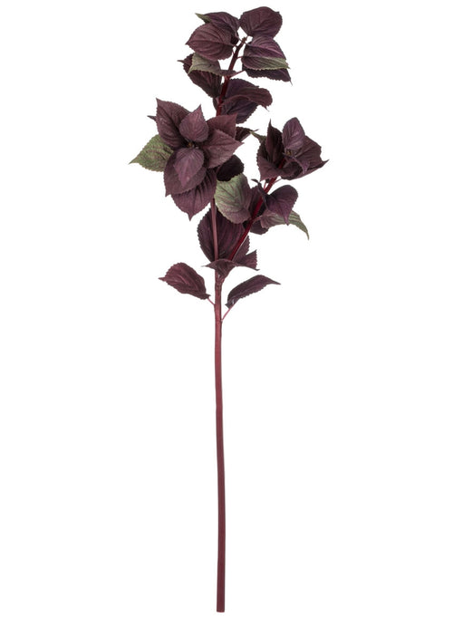 Perilla Spray 32"