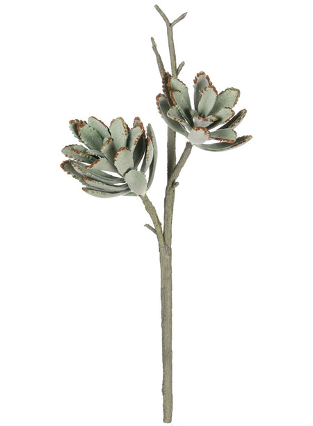 Gray Echeveria Pick - 7.5"
