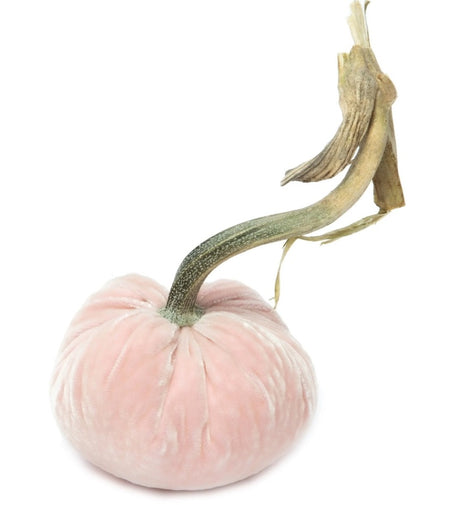 Hot Skwash Sandgreen Velvet Pumpkins