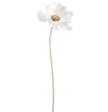 White & Gold Anemone Stem