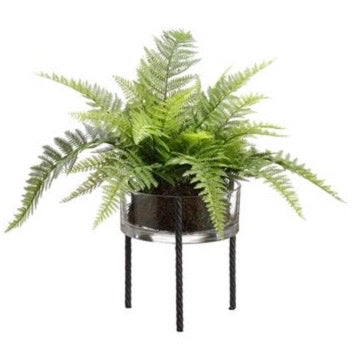 Leather Fern in Glass Vase