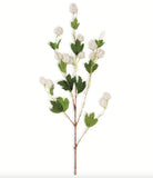 Cream Hops Stem - 39