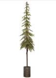 Faux Pole Pine Tree in Galvanized Pot