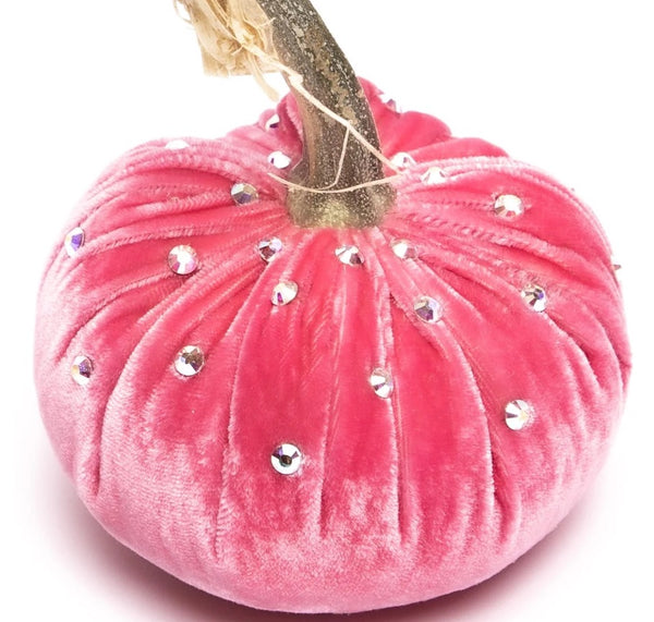 Hot Skwash Bubblegum Velvet Pumpkin