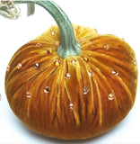 Hot Skwash D'Or Velvet Pumpkins