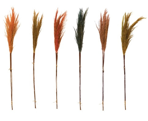 Dyed Dried Natural Pampas Grass - 29.5"