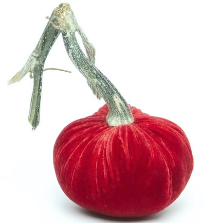 Hot Skwash Salmon Velvet Pumpkins