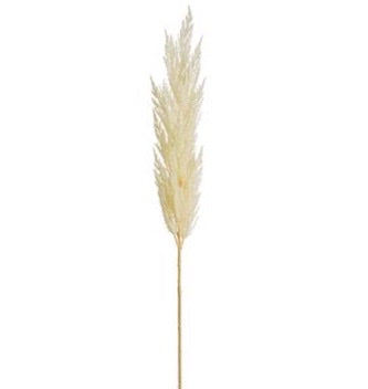 White Pampas Grass Spray - 46"