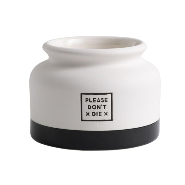 Funny Ceramic Planters