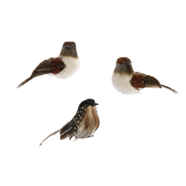 Birds on Clips Set