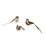 Birds on Clips Set