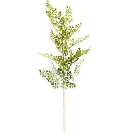 Maidenhair Fern Stem - 35"