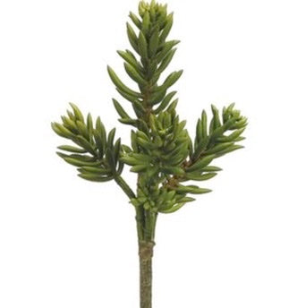 Senecio Succulent Pick - 16"