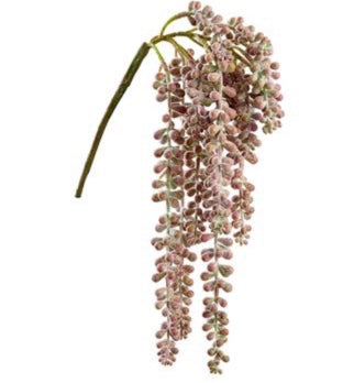 Donkey Tail Succulent - 19"
