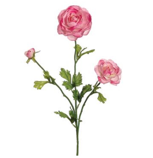 Ranunculus Spray - 27" Bright Pink