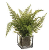 Leather Fern in Glass Vase