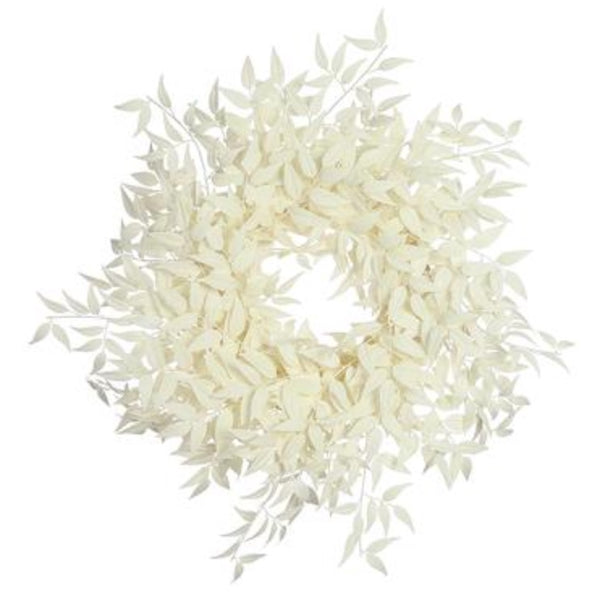 Cream Italian Ruscus Wreath - 31"