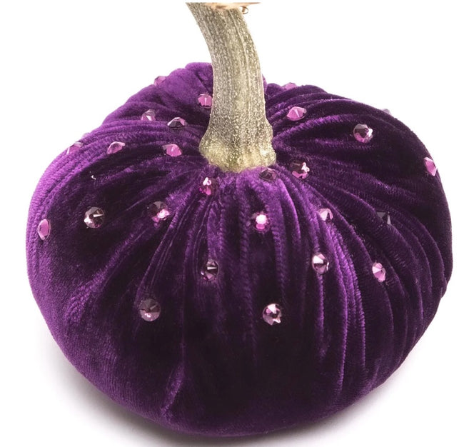 Hot Skwash Violet Velvet Pumpkin
