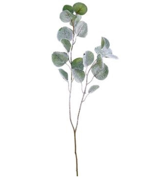 Snowed Silver Dollar Eucalyptus Spray - 32"