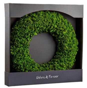 Preserved Celosia Wreaths