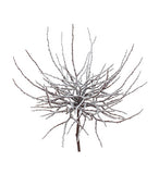 Snow Areca Cluster