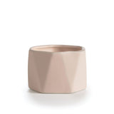 Illume Coconut Milk Mango Collection
