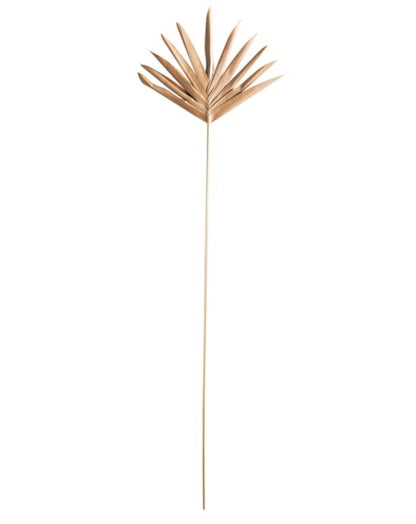 Tall Wild Grass Bush - 42"