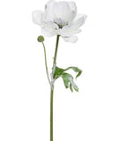 Snowed Anemone Spray - 17