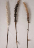Faux Flocked Grass Plume - 42