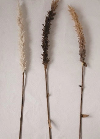 Faux Flocked Grass Plume - 42"