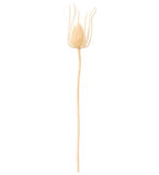 Beige Thistle Spray - 30