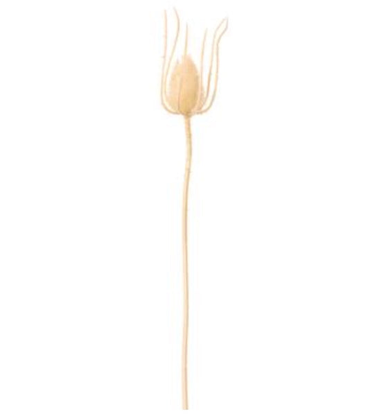 Beige Thistle Spray - 30"
