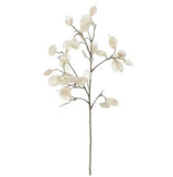 White Silver Dollar Eucalyptus Spray