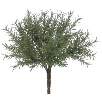 Rosemary Bush - 8"
