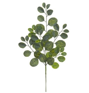Silver Dollar Eucalyptus Spray