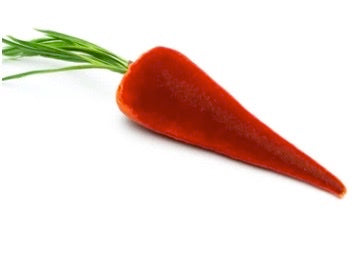 Velvet Carrots by Hot Skwash