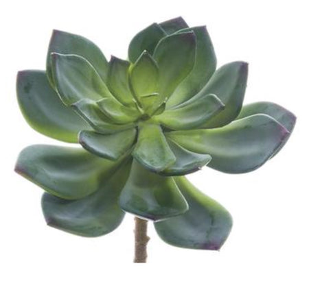Matte Black/Purple Succulent Pick