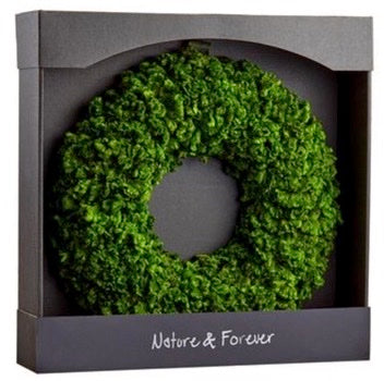 Preserved Celosia Wreaths