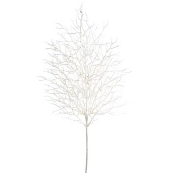 Arborvitae Wreath - 6.5"