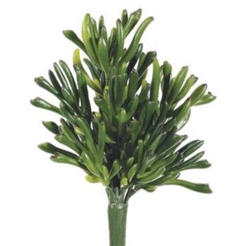 Black Areca Palm Spray - 31"