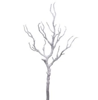 Snowed Twig Branch
