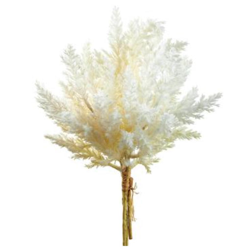 Pampas Grass Bundle - 14"