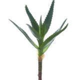 Agave Pick - 8.5