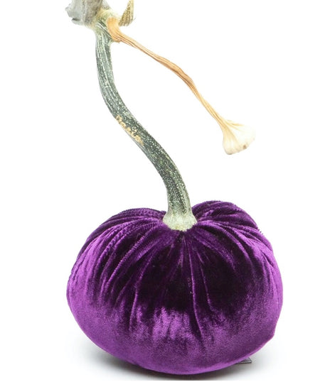 Hot Skwash Salmon Velvet Pumpkins