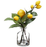 Lemon in Glass Vase