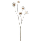 White & Gold Hellebores Stem